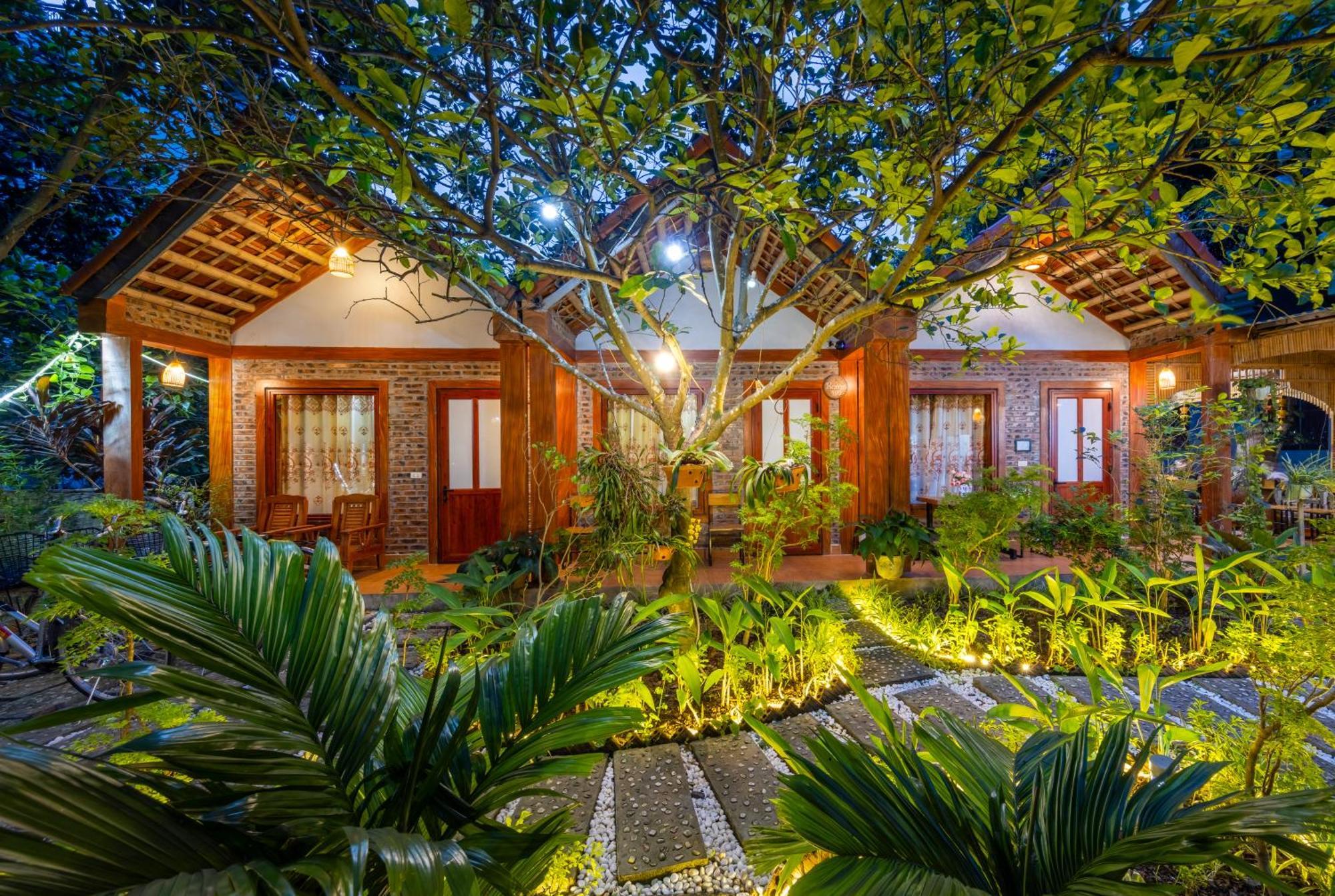 Tam Coc Moonlight Bungalow Van Lam Eksteriør bilde